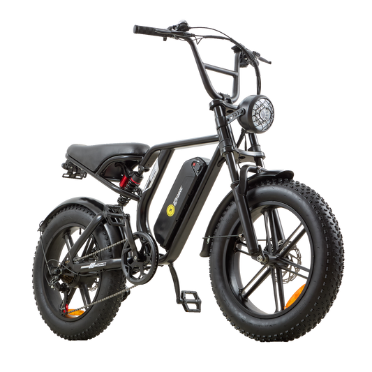 Black electric bike