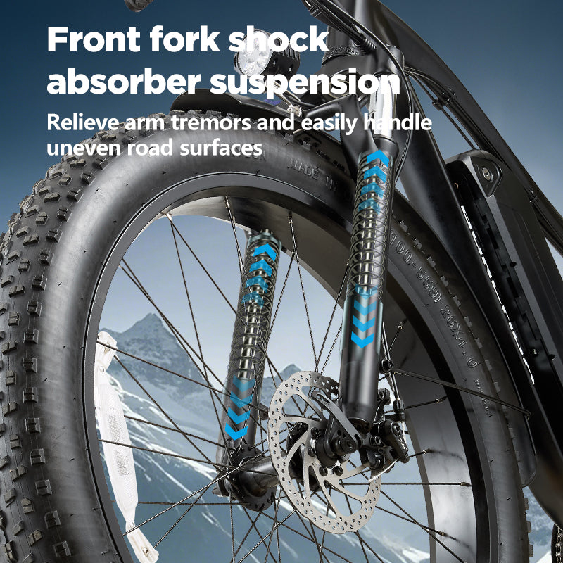 disc brake