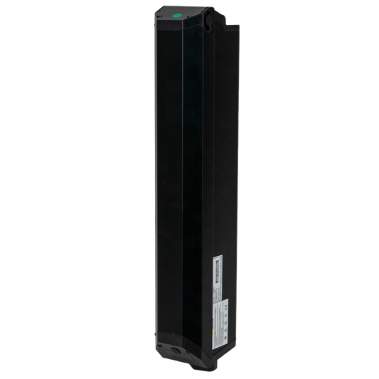 48V20Ah Original Battery for Burchda RX70/RX20