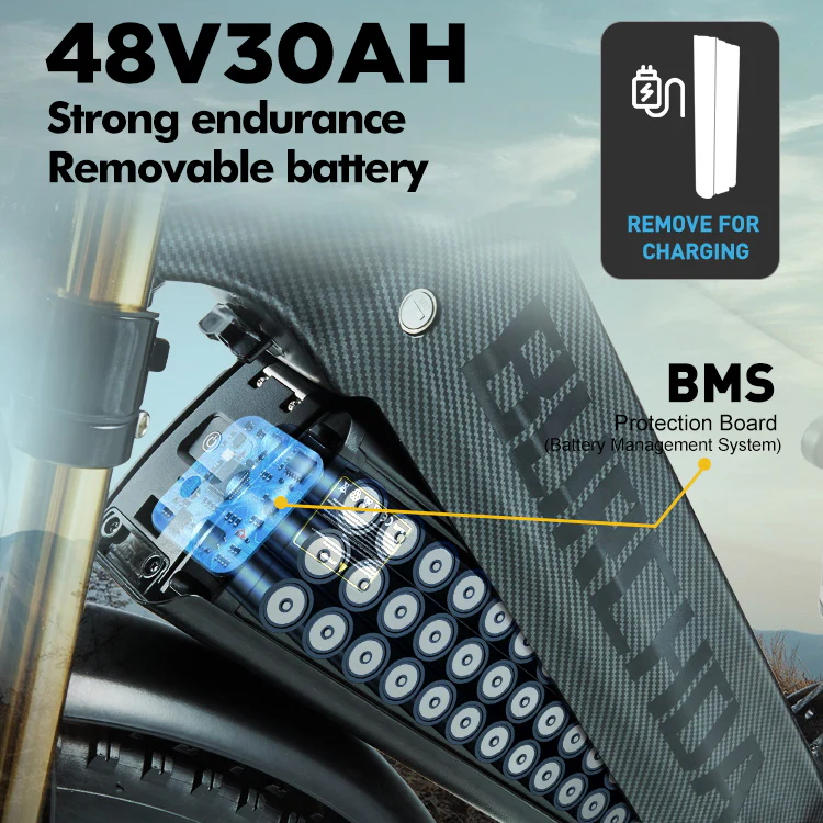 48V30Ah Batteria Originale per Burchda HC26