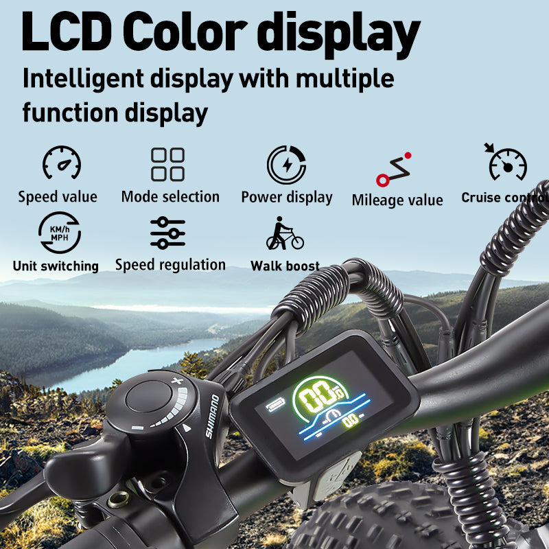 Burchda R5 LCD Color display
