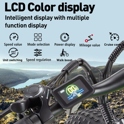 Burchda R5 LCD Color display