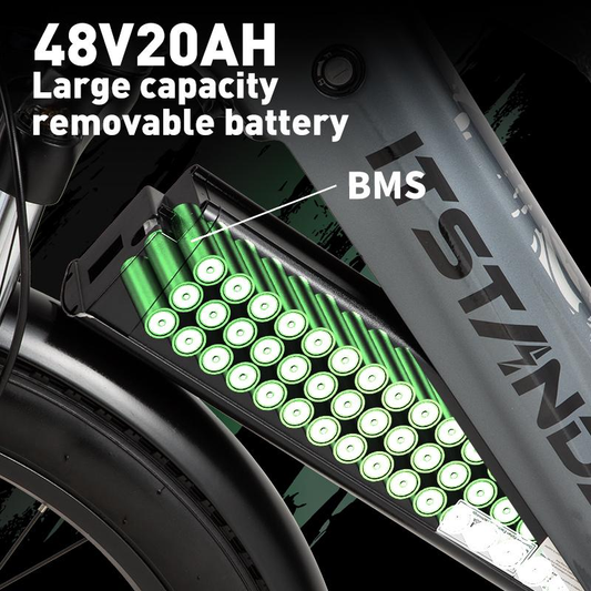 48V20AH Battery
