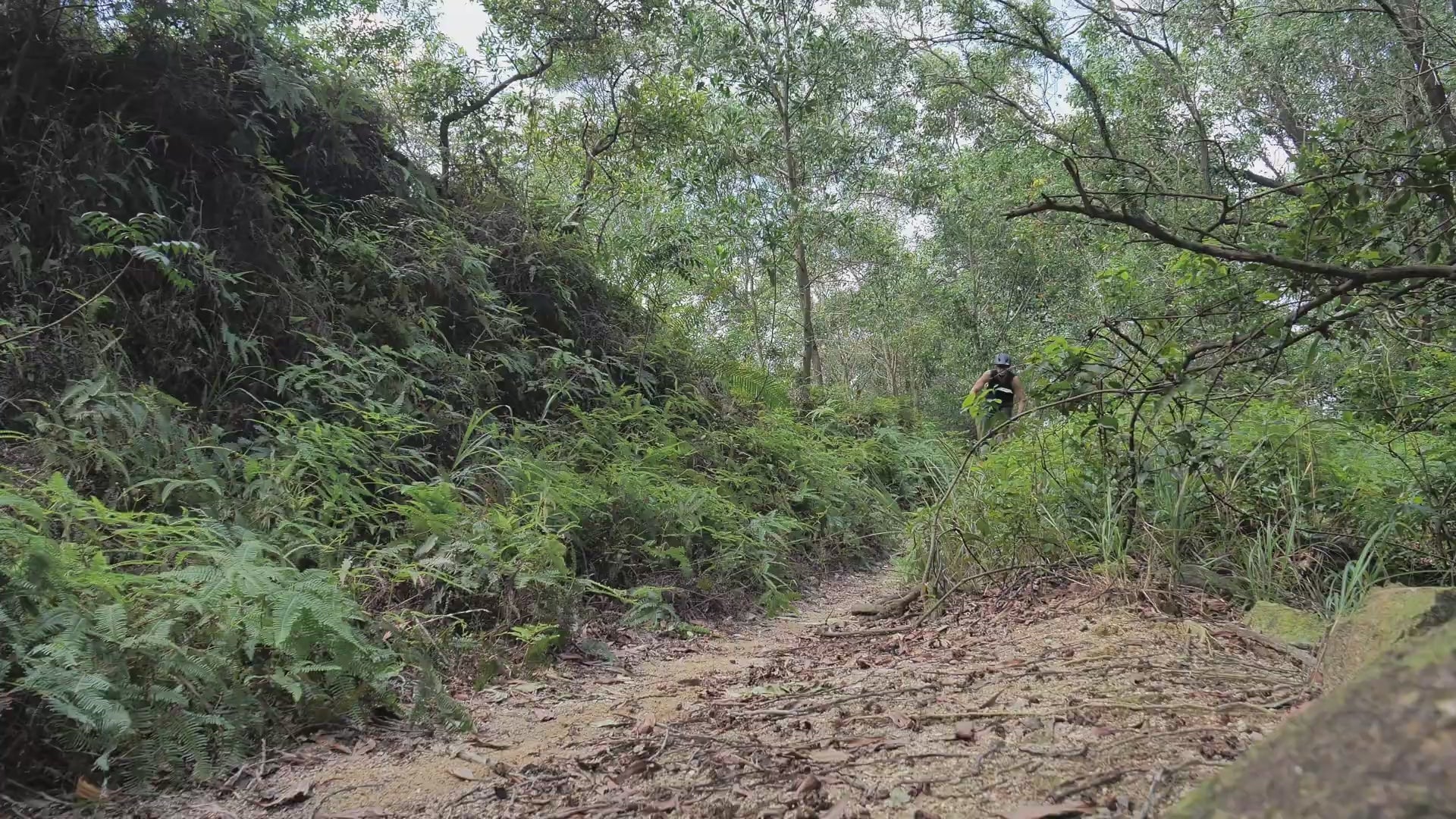 Cargar vídeo: BURCHDA Itstands RX26 Video